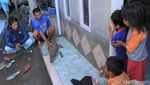 Tertangkapnya Buaya Penghuni Sungai Citarum