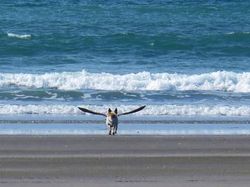 Ringkusan Foto Sempurna di Momen yang Tepat
