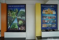 Penjelasan mangga di dalam museum (Syanti/detikTravel)