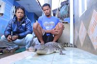 Cerita Warga Bandung Tangkap Buaya di Sungai Citarum