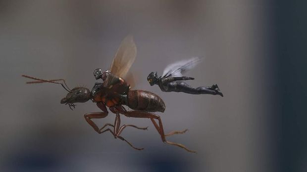 Ant-Man dan The Wasp bekerja sama menjadi pahlawan super.