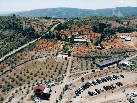 Disaksikan Ustaz Abdul Somad, Aceh Terus Kembangkan Kebun Kurma 