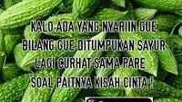 Meme ini berisi tulisan, Kalau ada yang nyariin gue, bilang gue di tumpukan sayuran. Lagi curhat sama pare soal pahitnya kisah cinta. Puk-puk, sabar ya mblo! Foto: Istimewa