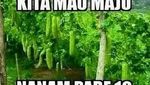 10 Meme Pare Ini Bikin Ketawa Sekaligus Mengingatkan Pahitnya Kehidupan