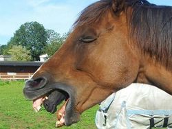 Ringkusan Foto Sempurna di Momen yang Tepat