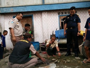 Mirip Alien, Ikan Aligator Gegerkan Warga Sumsel