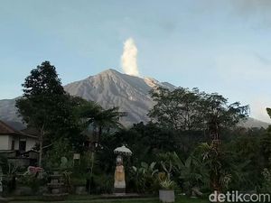 Pendakian Bakal Dibatasi, Pemandu Pikir-pikir Beralih Jadi Peternak Sapi