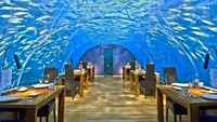 Di peringkat teratas, Ithaa Restaurant Maldives masih jadi favorit. Restoran ini menawarkan pemandangan bawah laut yang cantik. Suasananya juga privat karena hanya bisa menampung 14 tamu. Foto: Istimewa