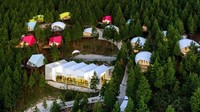 Resort warna-warni yang berada di tengah hutan cemara ini didesain oleh Atelier Chang. Inhabitat/Atelier Chang.