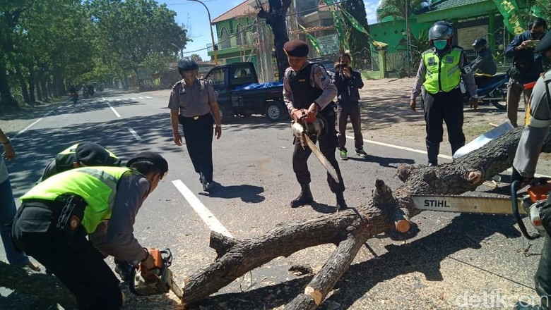 Biker Tewas Tertimpa Pohon Tumbang di Jalur Ponorogo-Madiun Biker Tewas Tertimpa Pohon Tumbang di Jalur Ponorogo-Madiun