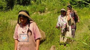 Mengintip Orang-orang Tsimane, Suku Pemilik Jantung Tersehat di Dunia
