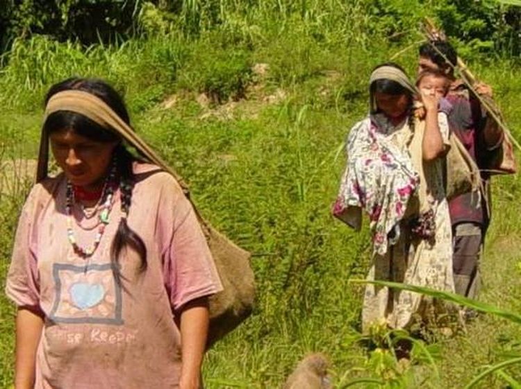 Mengintip Orang-orang Tsimane, Suku Pemilik Jantung Tersehat di Dunia