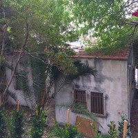 Tak hanya dipenuhi tumpukan barang, rumah juga nyaris runtuh karena lumut dan jamur. Foto: Dok. Elite Readerss/ Tracy Do Real Estate