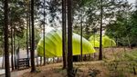 Korea Selatan Punya Resort Warna-warni di Tengah Hutan