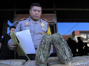 Ringkus Kurir Ganja di Bandung, Polisi Sita 49 Kg Ganja
