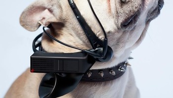 Alat penerjemah bahasa hewan. Foto: Brightside