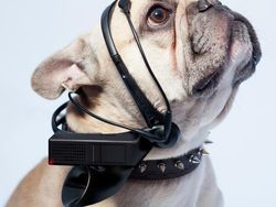 Gadget yang Mungkin Digunakan Cucu Anda di Masa Depan