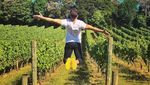Foto: Liburannya Pramugara Ganteng, Lucas Manente