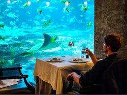 Potret Duo Youtuber Tampan yang Meninggal Tragis