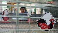 Mereka saling berbagi teknologi dan informasi terkini serta melakukan kerjasama bisnis.