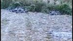 Melihat Fenomena Embun Salju yang Turun di Dieng