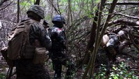 Marinir TNI AL memperkenalkan berbagai jenis tanaman hutan yang bisa dimakan secara langsung dan yang tidak bisa dimakan. Dalam kesempatan ini juga diajarkan cara mendapatkan sumber air dari tumbuhan. (Foto: dok. Dispen Marinir)