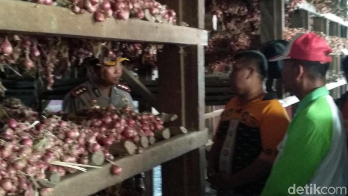 Musim Panen Raya, Harga Bawang Merah di Probolinggo Anjlok