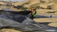 Tampak sejumlah pekerja berada di lokasi pembangunan jalan gurun di gurun Taklimakan di wilayah Otonomi Xinjiang Uygur di China barat laut. Xinhuanet/Istimewa.