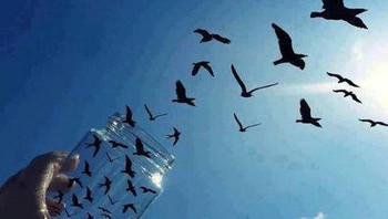 Timing foto yang pas seola burung-burung ini keluar dari toples. (Foto: Brightside)