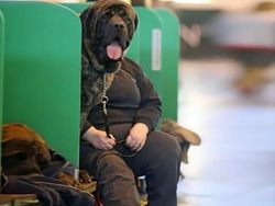 Kumpulan Bidikan Foto Unik Dengan Angle Tepat