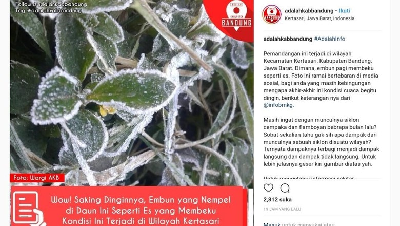 Viral Foto Daun Membeku di Kertasari, Ini Jawaban BMKG Bandung Viral Foto Daun Membeku di Kertasari, Ini Jawaban BMKG Bandung
