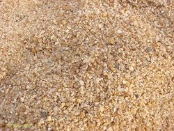 Deretan Foto Kamuflase Hewan yang Bikin Bingung