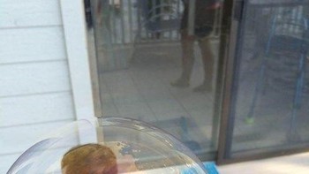 Bagaimana anak ini masuk ke dalam gelembung balon? (Foto: Brightside)