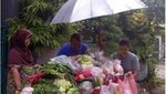 Dari Bawang Sampai Bayam, 10 Meme Sayur Ini Bikin Senyum!