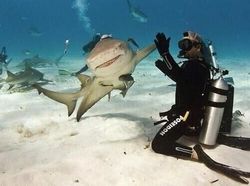 Kumpulan Bidikan Foto Unik Dengan Angle Tepat