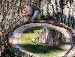 Kumpulan Bidikan Foto Unik Dengan Angle Tepat