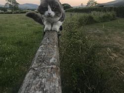 Kumpulan Bidikan Foto Unik Dengan Angle Tepat