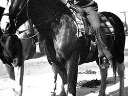 Rentetan Penampakan UFO Misterius yang Tak Terpecahkan