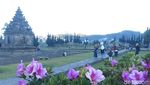 Wisatawan Ramai-ramai Datangi Puncak Dieng Lihat Embun Es