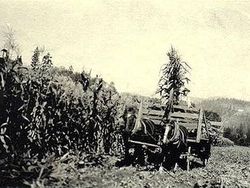 Rentetan Penampakan UFO Misterius yang Tak Terpecahkan