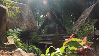 Suasana restoran makin terasa eksotis saat pagi atau sore hari. Jangan lupa mengabadikan momen dengan berfoto-foto ya.  Foto: Instagram @kebonawikaffee