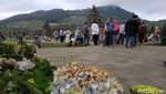 Wisatawan Ramai-ramai Datangi Puncak Dieng Lihat Embun Es