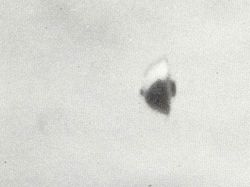 Rentetan Penampakan UFO Misterius yang Tak Terpecahkan