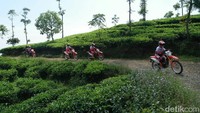 Touring National Honda Roadventure dibuka dengan touring bersama jurnalis, blogger, anggota komunitas trabas, serta manajemen PT Astra Honda Motor (AHM) di Semarang. Touring pembuka yang bertajuk Broventure Touring ini memacu adrenalin sebagai petualang sejati ditemani sepeda motor on-off road Honda CRF150L melintasi kebun teh Medini dan menaiki Gunung Ungaran. Foto: Astra Honda Motor
