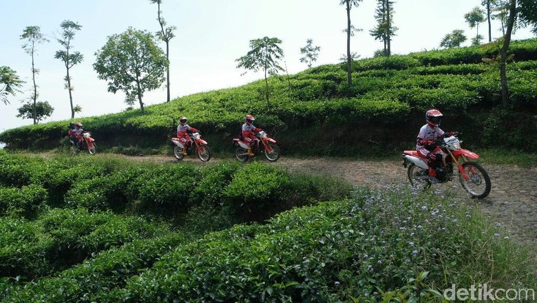 Trabas kebun teh dengan Honda CRF150L Foto: Astra Honda Motor Trabas kebun teh dengan Honda CRF150L Foto: Astra Honda Motor