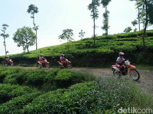 Trabas Kebun Teh dengan Honda CRF150L