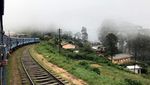 Foto: Jalur Kereta Tercantik di Sri Lanka