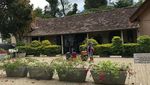 Foto: Jalur Kereta Tercantik di Sri Lanka