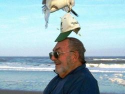 Deretan Foto Kocak Diambil Pada Saat yang Tepat