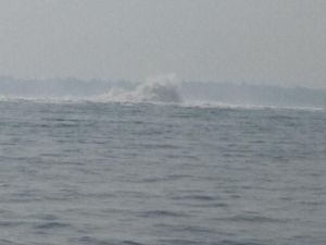 PLTGU Cilegon Jamin Tak Ada Gangguan Pasokan Listrik